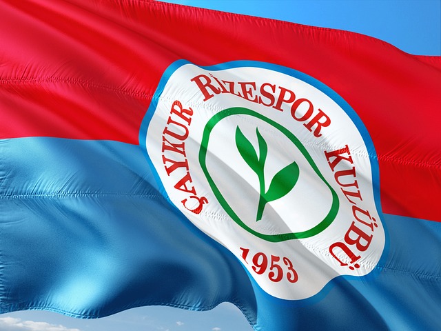 这种两难境 这种两难境