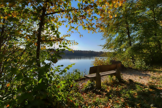 蒙上了一层 蒙上了一层