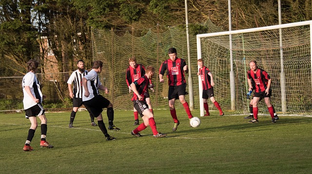 近年来在赛 近年来在赛