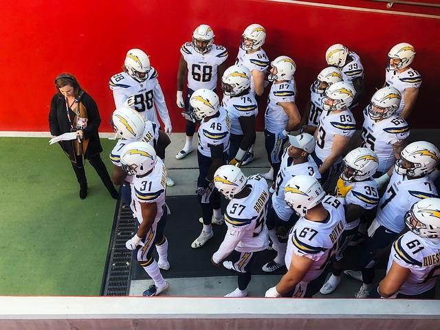 马来西亚羽 马来西亚羽