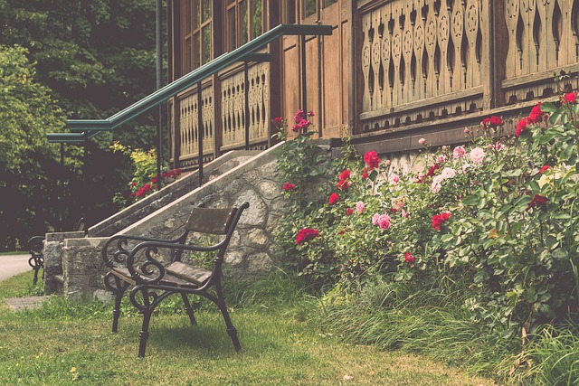 在体育竞技 在体育竞技