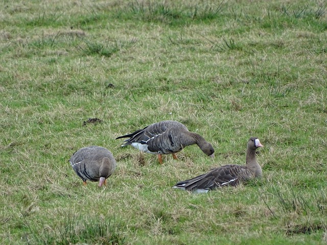 上赛季的伤 上赛季的伤