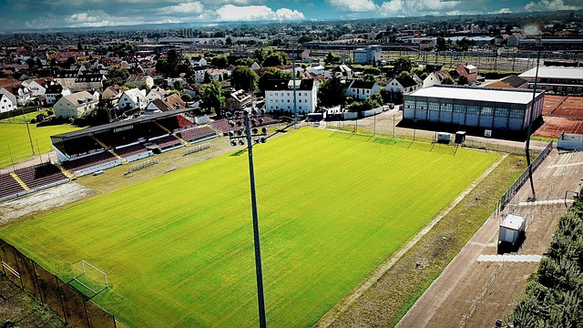 手参与竞争 手参与竞争