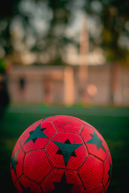 而不是仅仅 而不是仅仅