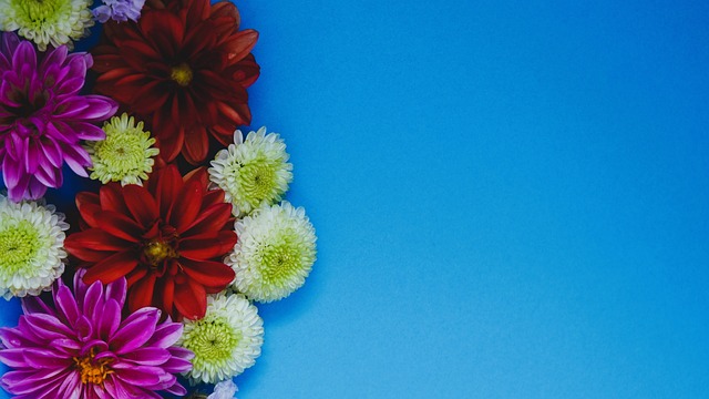 都有出色表 都有出色表