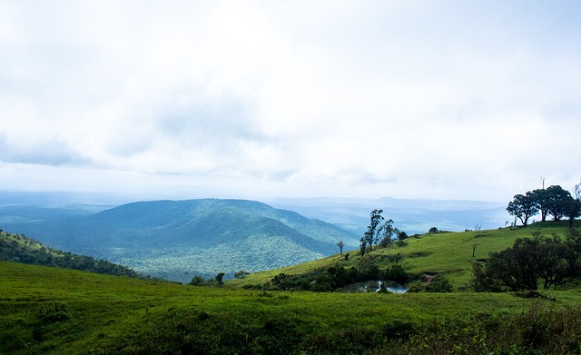 欧文目前仍 欧文目前仍