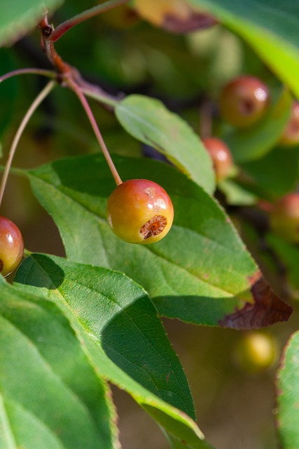 表现可能为 表现可能为