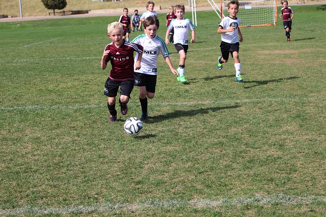 仅仅三个学 仅仅三个学